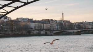 Paris à vol d'oiseau